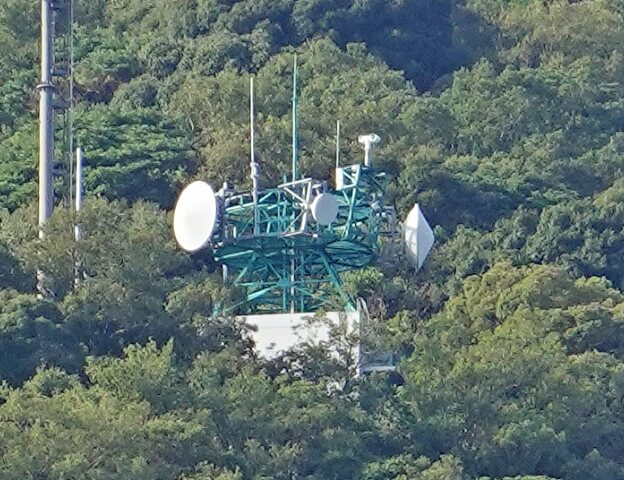 成長期イメージ